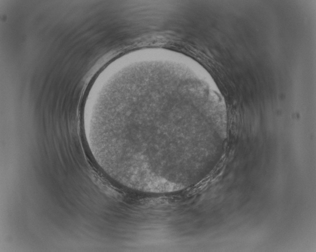 X0000072970100200608211332