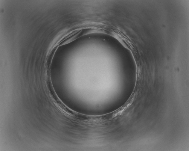 X0000072970101200608211332