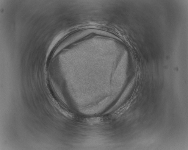 X0000072970102200608211332