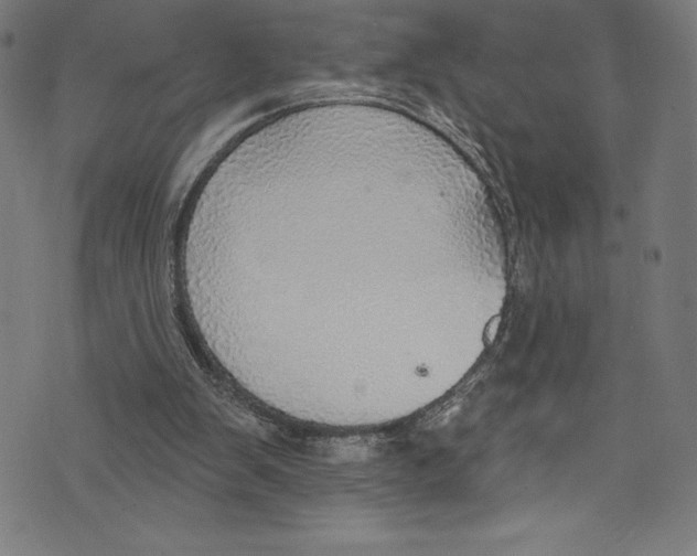 X0000072970103200608211332