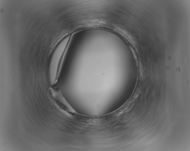 X0000072970105200608211332