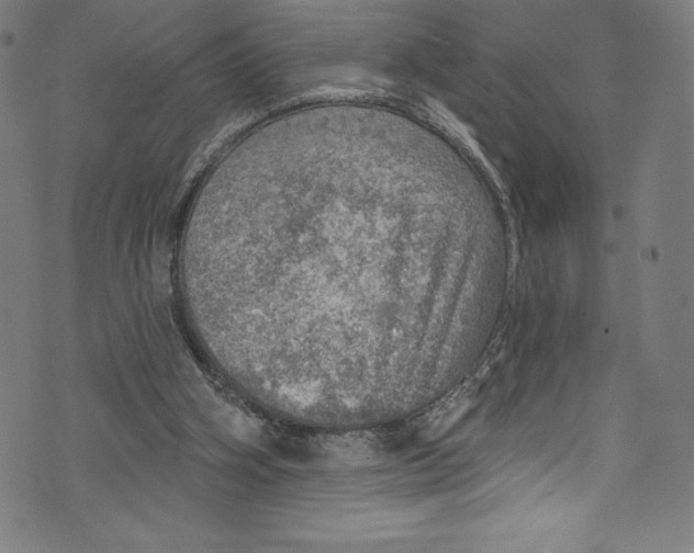 X0000072970106200608211332