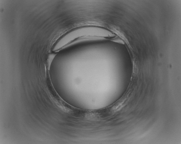 X0000072970109200608211332