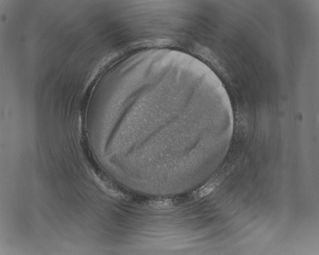 X0000072970110200608211332