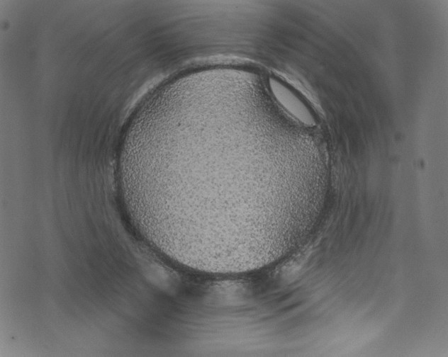 X0000072970111200608211332