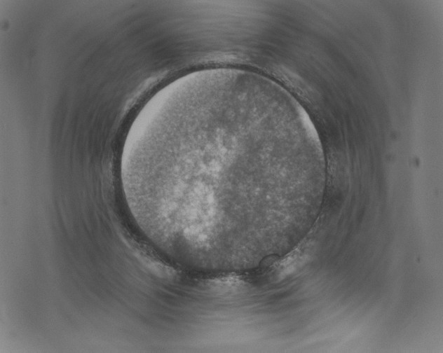 X0000072970112200608211332