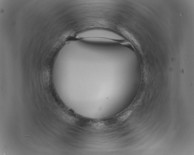 X0000072970113200608211332