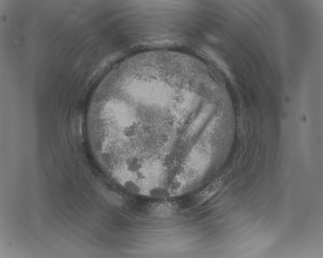 X0000072970115200608211331