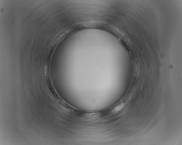 X0000072970117200608211331