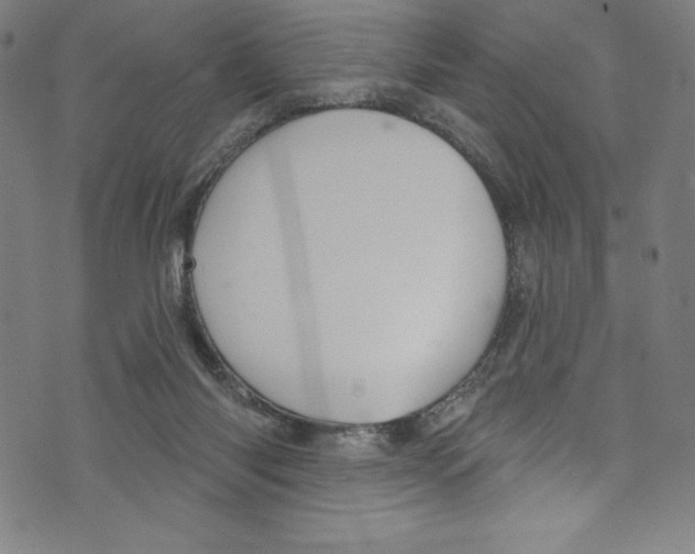 X0000072970118200608211331