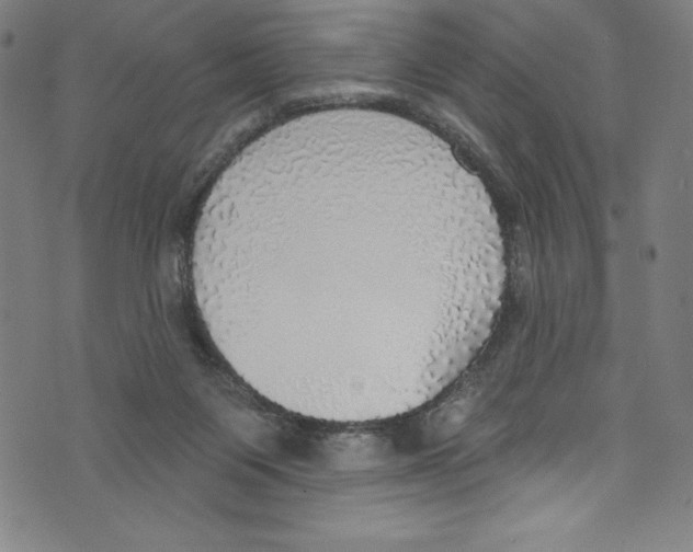 X0000072970119200608211331