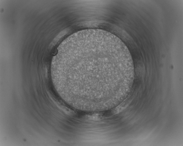 X0000072970120200608211331