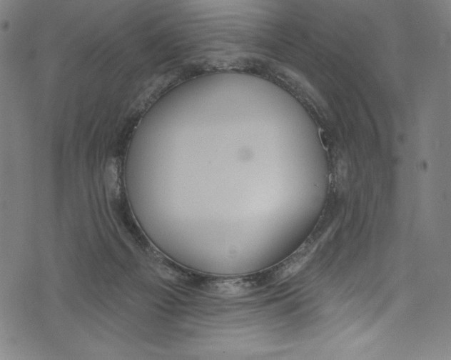 X0000072970121200608211331