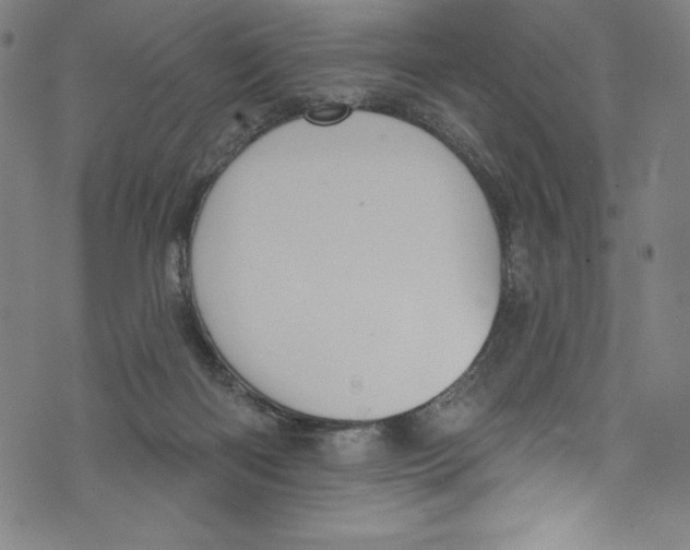 X0000072970122200608211331