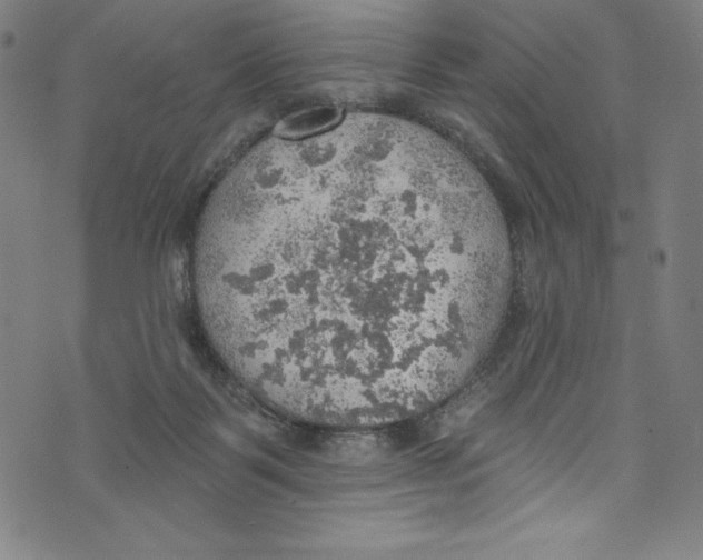 X0000072970123200608211331