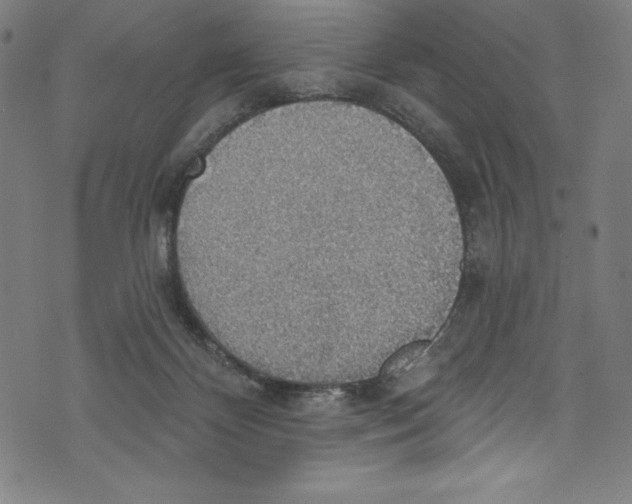 X0000072970124200608211331