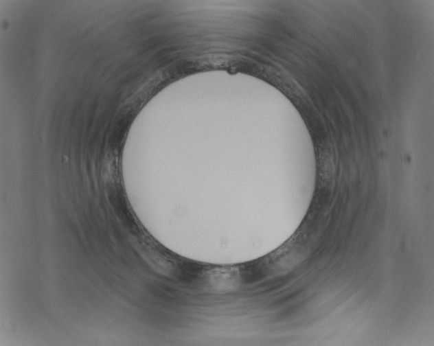 X0000072970126200608211331