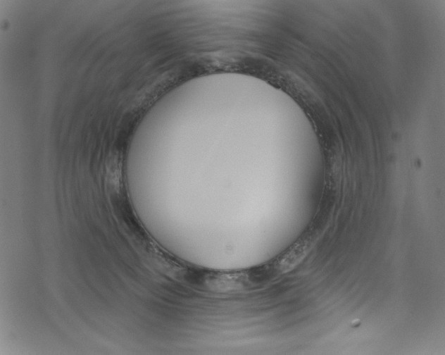 X0000072970129200608211331