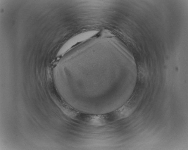 X0000072970130200608211331