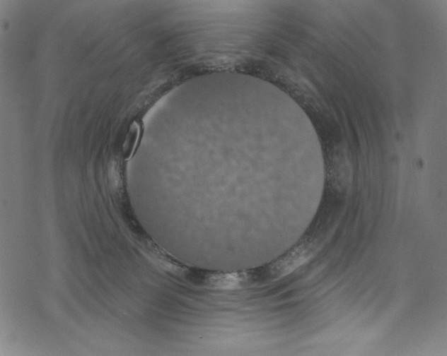 X0000072970131200608211331