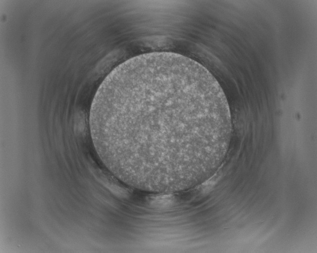 X0000072970132200608211331