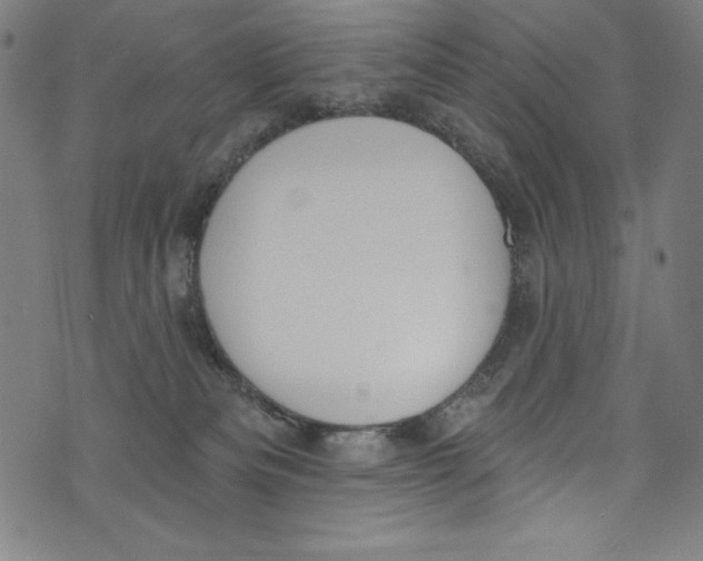 X0000072970133200608211331