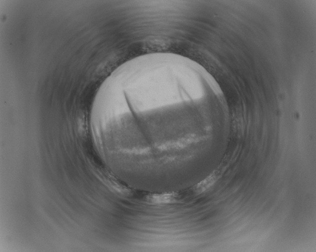 X0000072970134200608211331