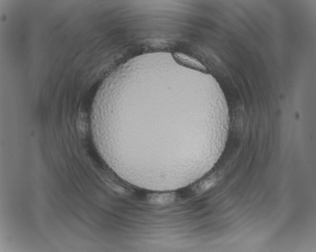 X0000072970135200608211331