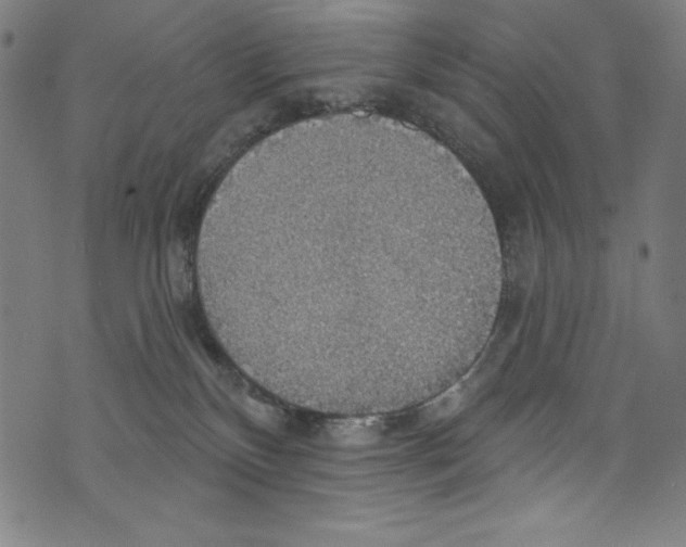 X0000072970136200608211331