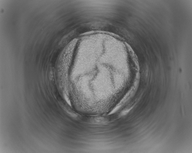 X0000072970137200608211331