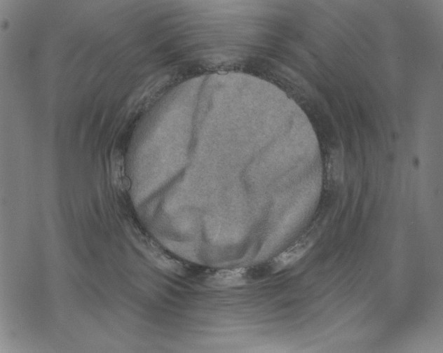 X0000072970138200608211331