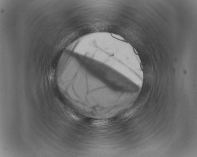 X0000072970139200608211331