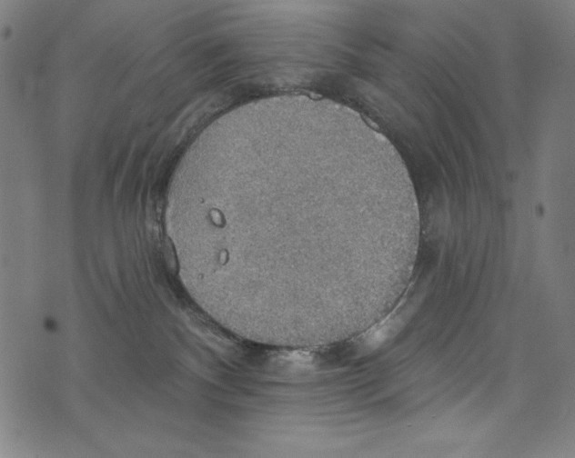 X0000072970140200608211331