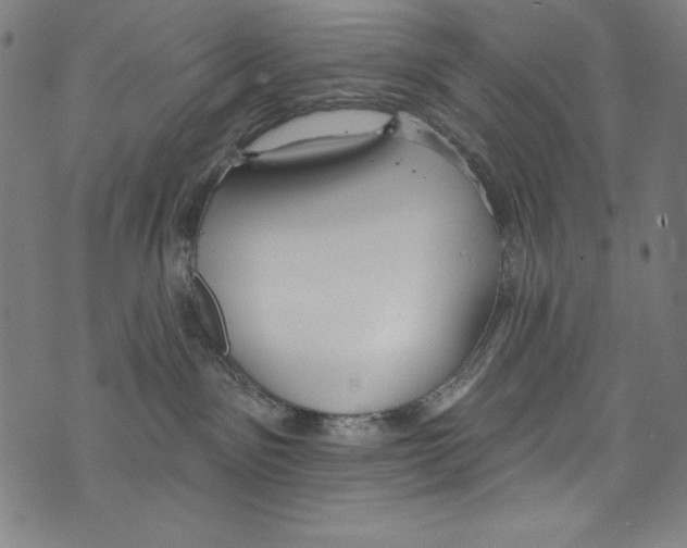 X0000072970141200608211331