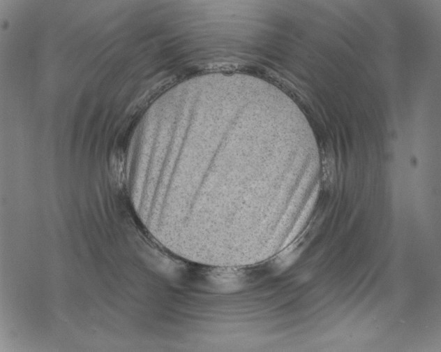 X0000072970142200608211331