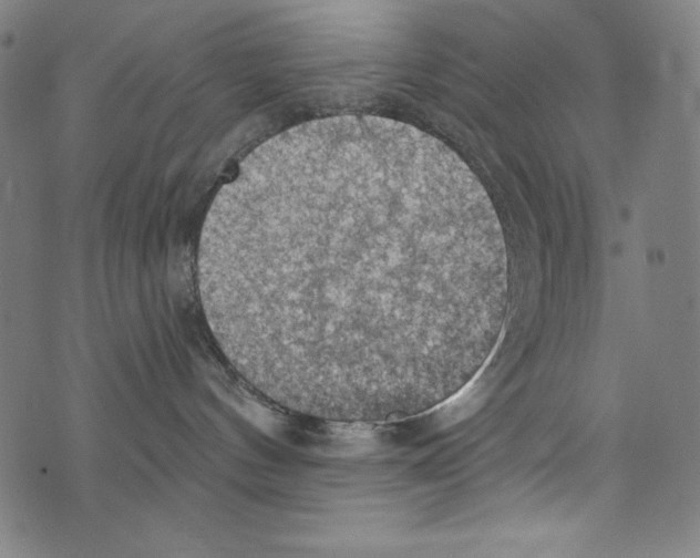 X0000072970144200608211331