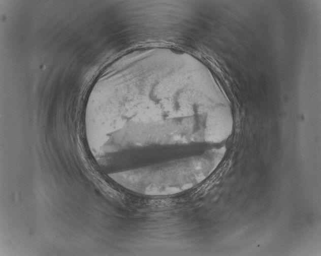 X0000072970145200608211330