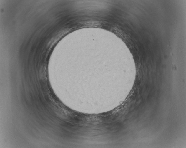 X0000072970146200608211330