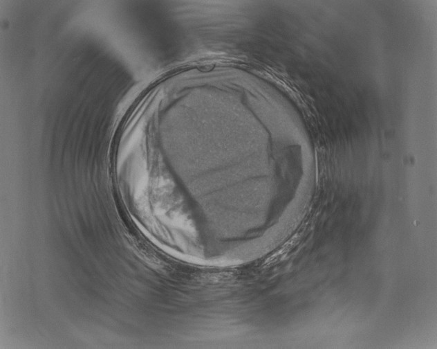 X0000072970147200608211330