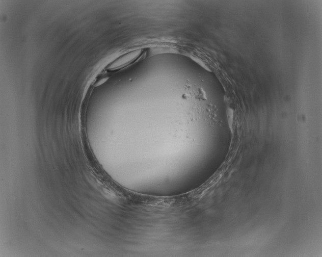 X0000072970148200608211330