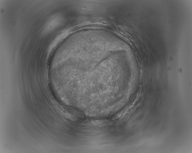 X0000072970149200608211330