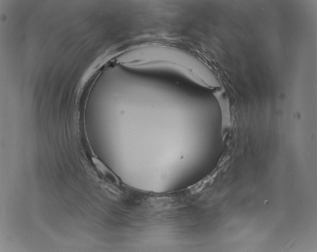 X0000072970150200608211330