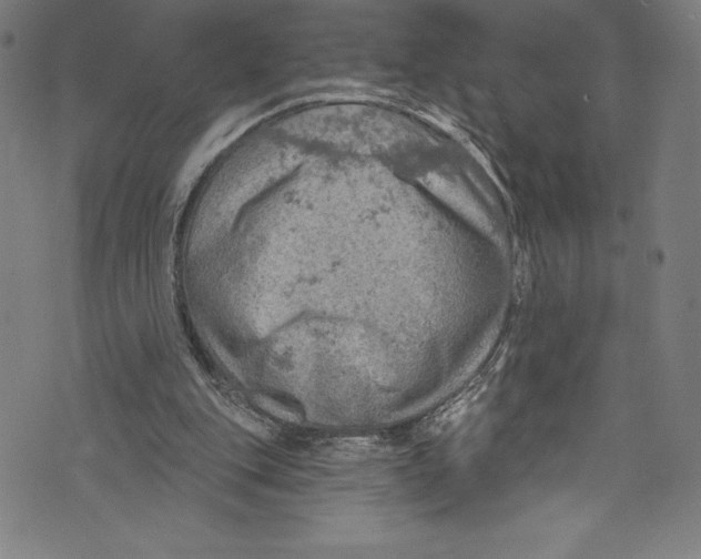 X0000072970151200608211330