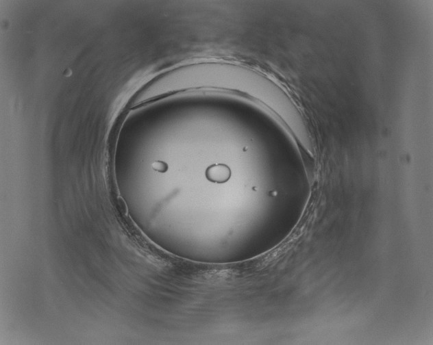 X0000072970152200608211330