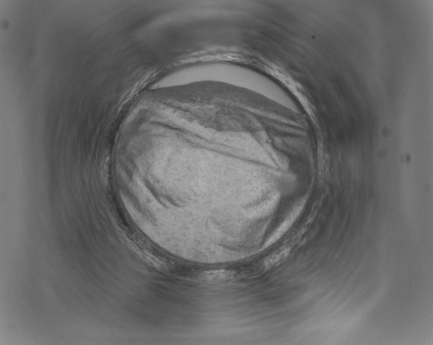 X0000072970153200608211330