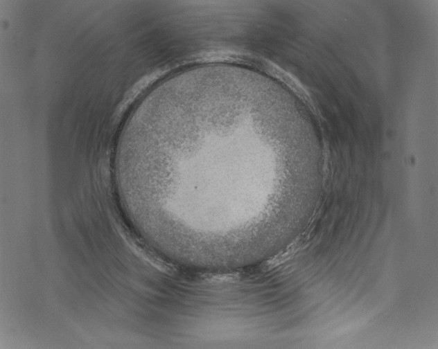 X0000072970155200608211330