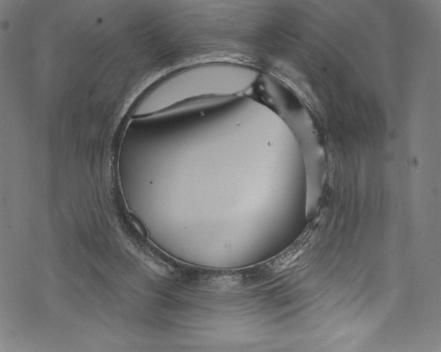 X0000072970156200608211330