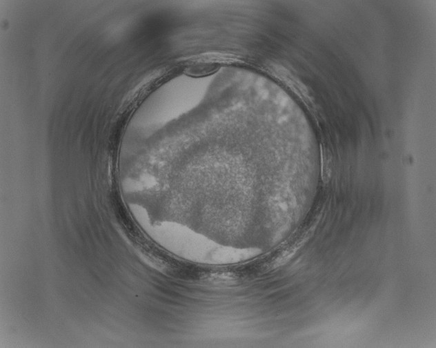 X0000072970157200608211330