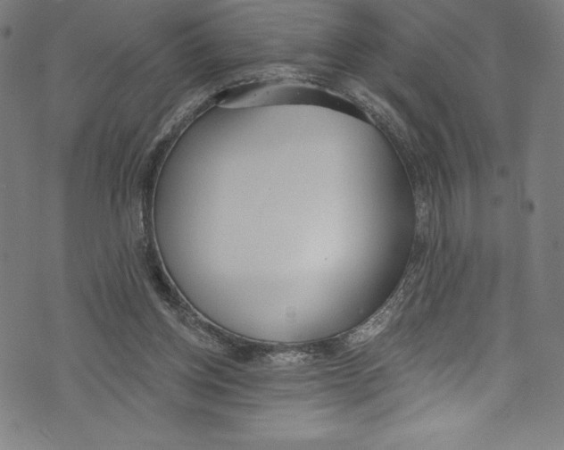 X0000072970158200608211330