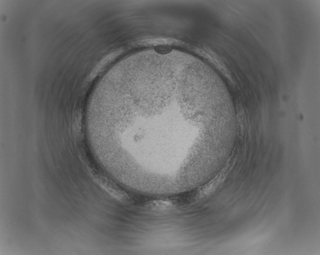 X0000072970159200608211330